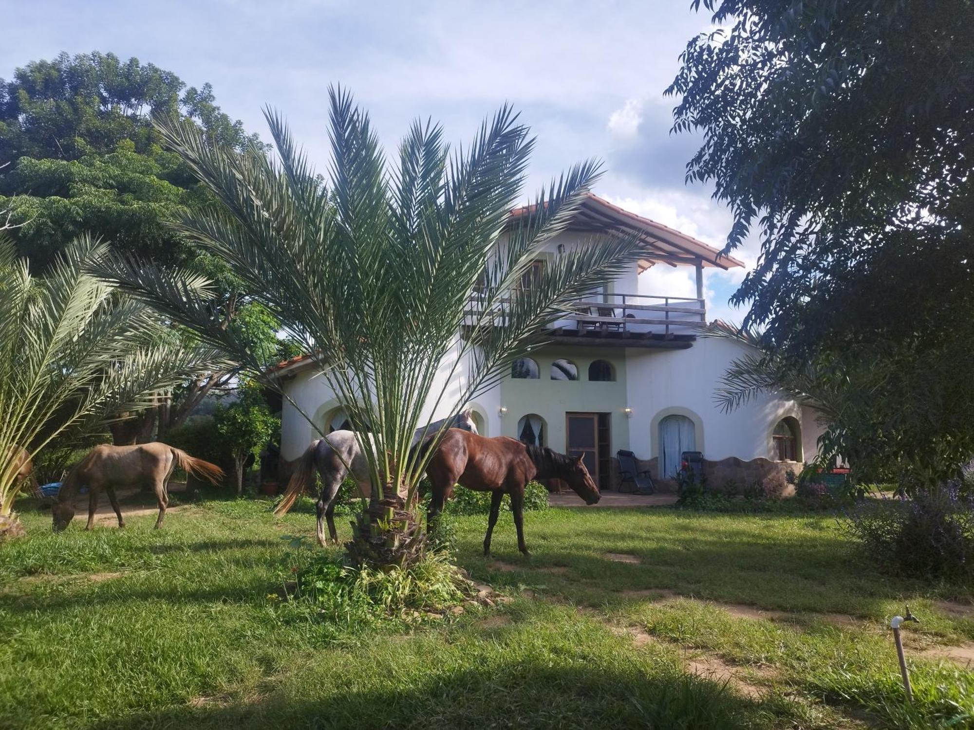 סמאיפאטה Horse Inn - Posada מראה חיצוני תמונה